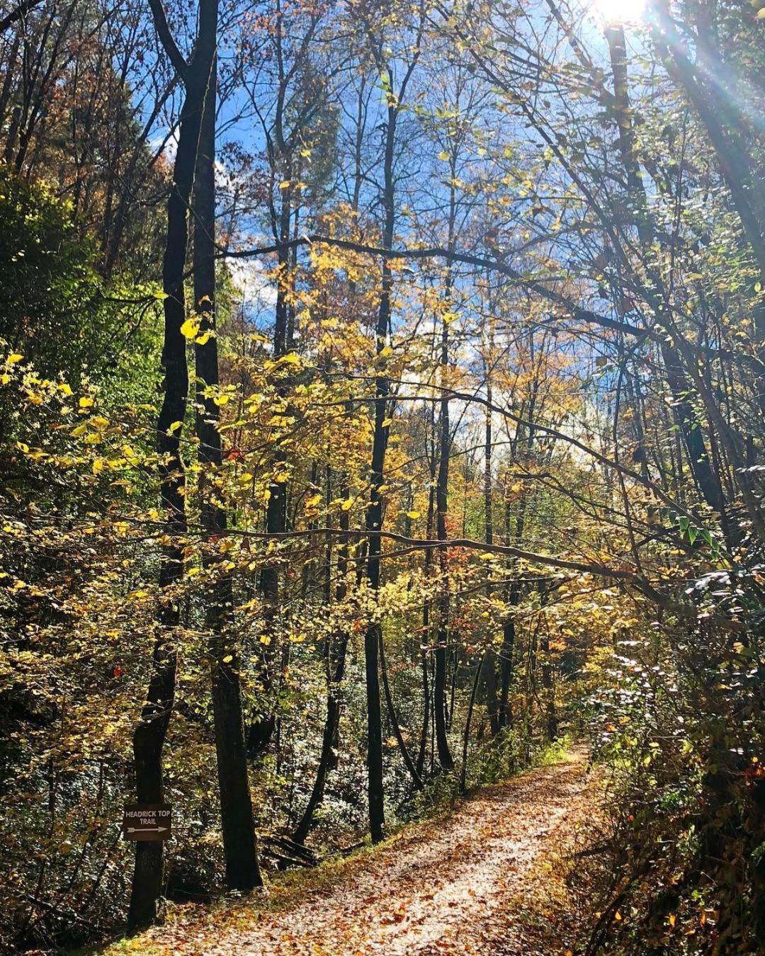 Horseshoe Hideaway Sevierville Bagian luar foto